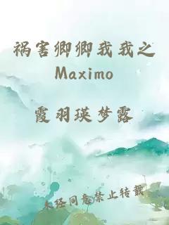 祸害卿卿我我之Maximo