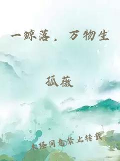 一鲸落，万物生
